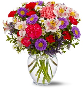 Birthday Wishes in Midlothian TX, Growing Ideas