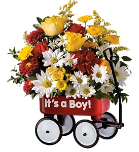 Teleflora's Baby's First Wagon - Boy in Midlothian TX, Growing Ideas