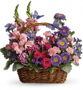 Country Basket Blooms in Midlothian TX, Growing Ideas