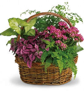 Secret Garden Basket in Midlothian TX, Growing Ideas