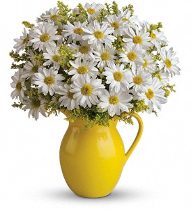 Teleflora's Sunny Day Pitcher of Daisies in Midlothian TX, Growing Ideas