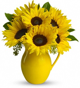 Teleflora's Sunny Day Pitcher of Sunflowers in Midlothian TX, Growing Ideas