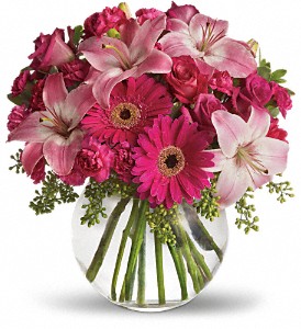 A Little Pink Me Up in Midlothian TX, Growing Ideas