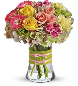 Fashionista Blooms in Midlothian TX, Growing Ideas