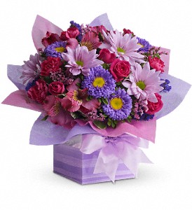 Teleflora's Lovely Lavender Present in Midlothian�TX, Growing Ideas