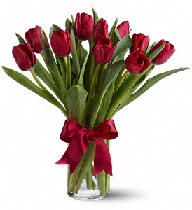 Radiantly Red Tulips in Midlothian TX, Growing Ideas