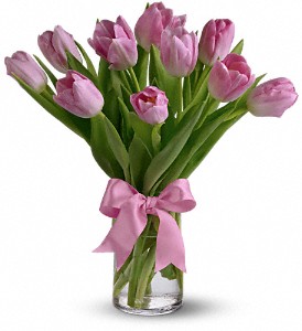 Precious Pink Tulips in Midlothian TX, Growing Ideas