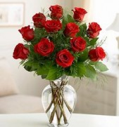 Classic Roses in Midlothian TX, Growing Ideas