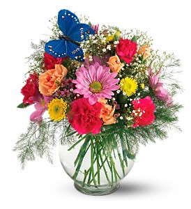 Teleflora's Butterfly & Blossoms Vase in Midlothian TX, Growing Ideas