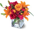 Teleflora's Uniquely Chic Bouquet in Midlothian TX Growing Ideas