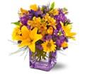 Teleflora's Morning Sunrise Bouquet in Midlothian TX Growing Ideas