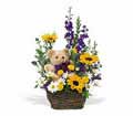 Basket & Bear Arrangement in Midlothian TX Growing Ideas