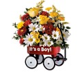 Teleflora's Baby's First Wagon - Boy