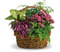 Secret Garden Basket