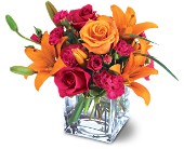 Teleflora's Uniquely Chic Bouquet in Midlothian�TX, Growing Ideas