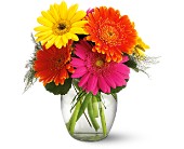 Teleflora's Fiesta Gerbera Vase in Midlothian�TX, Growing Ideas