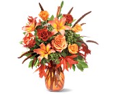Fall Grandeur in Midlothian TX, Growing Ideas