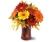 Autumn Gerberas in Midlothian TX, Growing Ideas