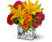 Teleflora's Summertime Splash in Midlothian TX, Growing Ideas