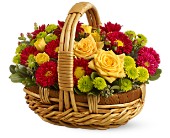 Bundle of Sunshine in Midlothian�TX, Growing Ideas