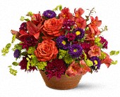 Autumn Celebration in Midlothian�TX, Growing Ideas