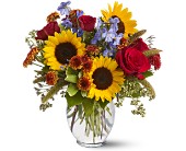Sunny Skies in Midlothian�TX, Growing Ideas