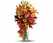 Burst of Autumn in Midlothian�TX, Growing Ideas