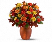 Amber Roses in Midlothian�TX, Growing Ideas
