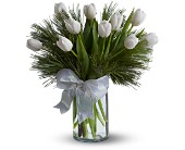 Tulips and Pine in Midlothian�TX, Growing Ideas