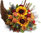 Bountiful Beauty in Midlothian�TX, Growing Ideas