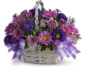 Daisy Day Dreams in Midlothian TX, Growing Ideas