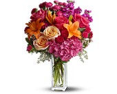 Teleflora's Joy Forever in Midlothian�TX, Growing Ideas
