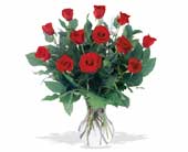 A Dozen Premium Red Roses in Midlothian�TX, Growing Ideas
