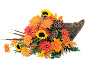 Captivating Cornucopia in Midlothian�TX, Growing Ideas