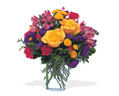 Brighten Your Day in Midlothian�TX, Growing Ideas
