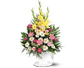 Basket of Faith in Midlothian TX, Growing Ideas