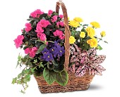 Blooming Garden Basket in Midlothian TX, Growing Ideas