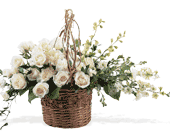 Basket of Light in Midlothian TX, Growing Ideas