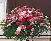 Delicate Pink Casket Spray in Midlothian TX, Growing Ideas