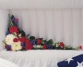 Patriotic Spirit Cluster in Midlothian TX, Growing Ideas
