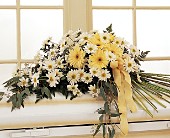 Drop of Sunshine Casket Spray in Midlothian TX, Growing Ideas