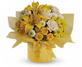 Teleflora's Sunshine Surprise in Midlothian�TX, Growing Ideas