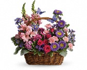 Country Basket Blooms in Midlothian�TX, Growing Ideas