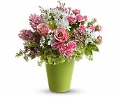 Enchanted Blooms in Midlothian�TX, Growing Ideas