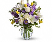 Spring Waltz in Midlothian�TX, Growing Ideas
