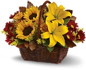 Golden Days Basket in Midlothian TX, Growing Ideas