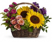 Picnic in the Park in Midlothian TX, Growing Ideas