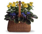 Garden To Go Basket in Midlothian�TX, Growing Ideas