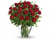 My Perfect Love - 2 Dozen Long Stemmed Red Roses in Midlothian�TX, Growing Ideas