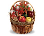Health Nut Basket in Midlothian�TX, Growing Ideas